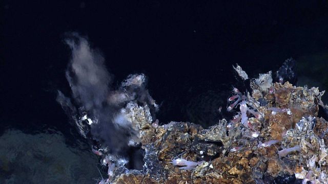 Shimmering hot waters of a hydrothermal vent at the Von Damm vent field Picture