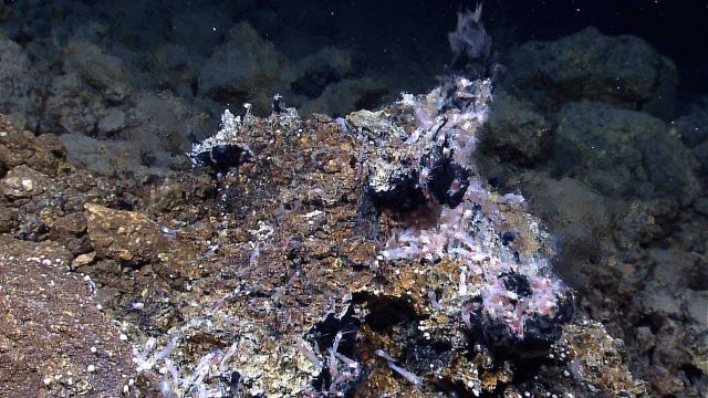 Shimmering hot waters of a hydrothermal vent at the Von Damm vent field Picture