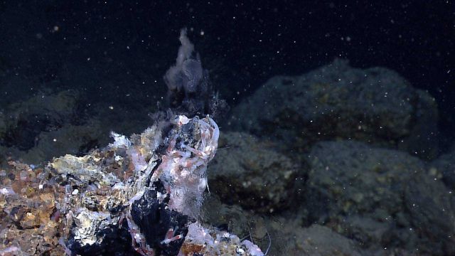 Shimmering hot waters of a hydrothermal vent at the Von Damm vent field Picture