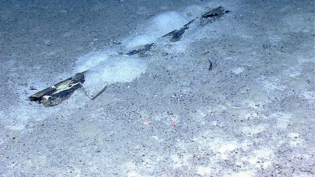 Marine debris - a man-made plank with what appears to be a metal fastener at its left end. Picture