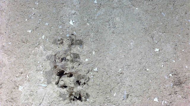 Odd series of holes Picture