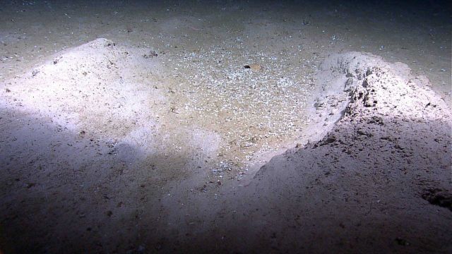 A seeming crater Picture