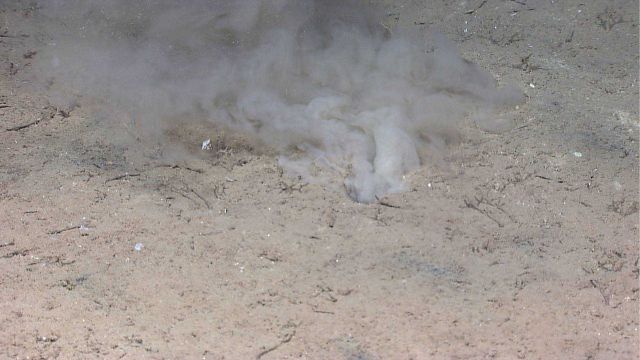 Sampling bottom? Fish disturbed? Picture