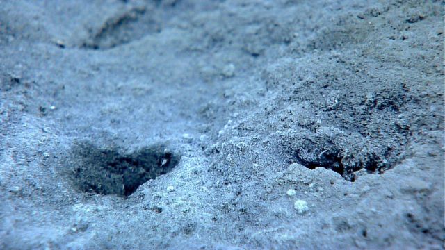 Holes in the seafloor Picture