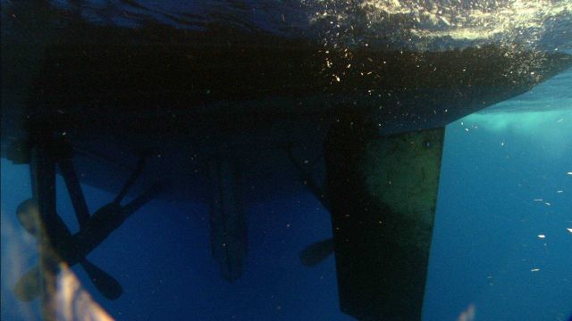 Viewing the rudders and propellers of the OKEANOS EXPLORER from an ROV. Picture