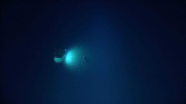 Looking down of Little Hercules ROV viewing a fairly large fish. Picture