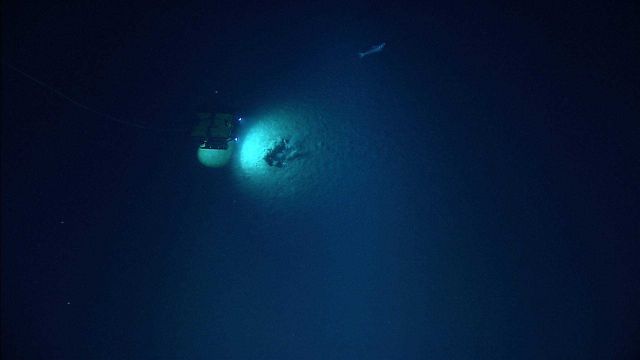 Looking down of Little Hercules ROV viewing a fairly large fish leaving the perceived threat of the ROV. Picture