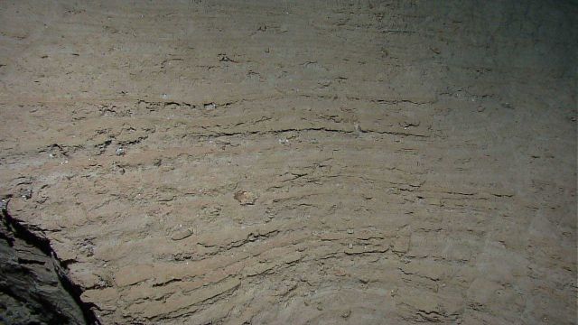 Sedimentary layers of mudstone or shale. Picture