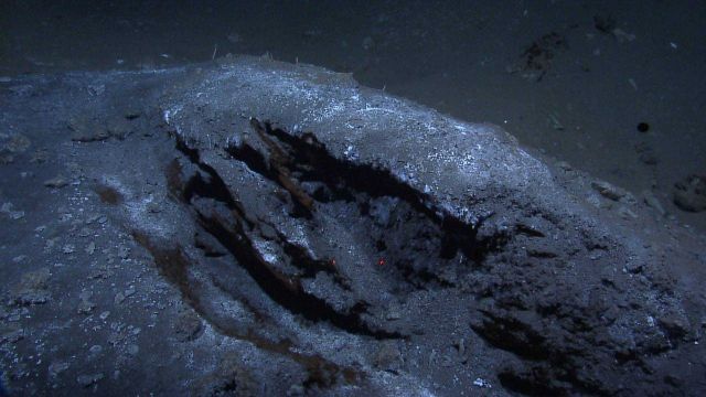 A cold seep site with large holes and dark brown stained rock and sediment Picture