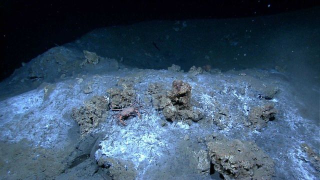 Methane bubbles seen rising from a 