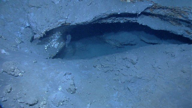 The tail of a large fish is seen in the hole in the side of the crater seen in image expl8285 Picture