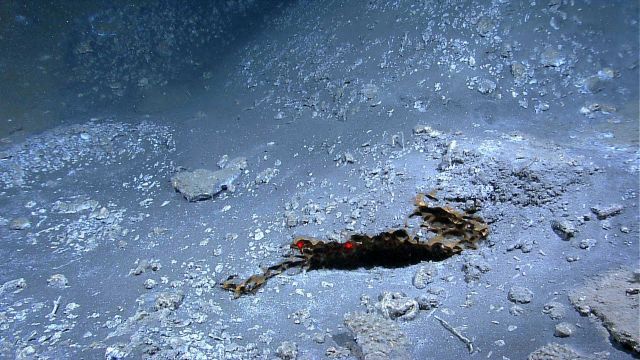 An outcrop of methane hydrate Picture