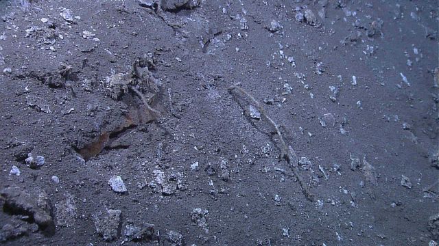 Brown methane hydrate outcrop being covered by sediment, or conversely, breaking through sediment. Picture