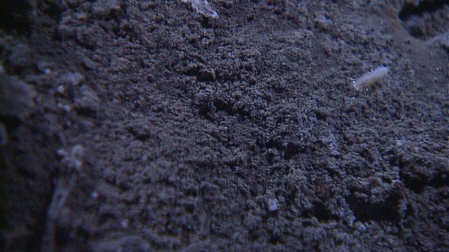 See expl8314 Picture