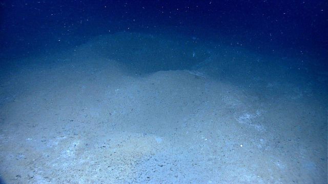 A large depression surrounded by the excavated material. Picture