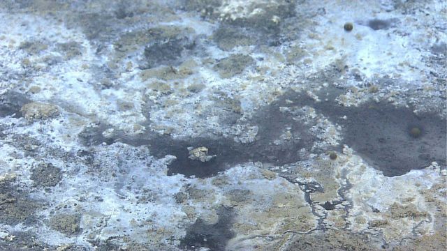 Three bubbles of less dense than water hydrocarbon gas and fluids escaping from an oil, gas, and brine seep area Picture