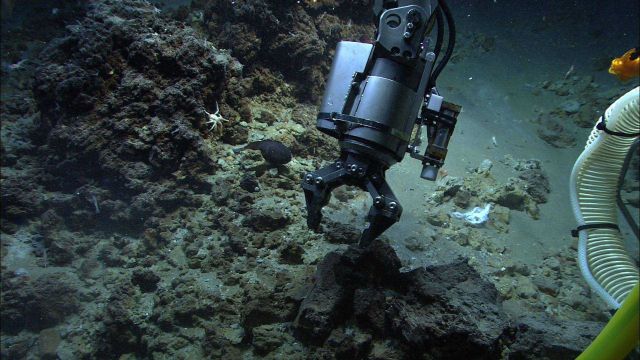 The Quest 4000 remotely operated vehicle collecting geological samples with the manipulator claw. Picture