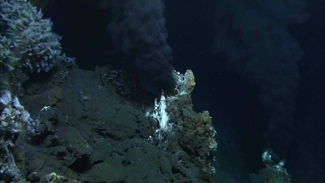 Two black smoker chimneys belch hot vent fluid up into the water column, helping to form the plume that the CTD found above the volcano. Picture