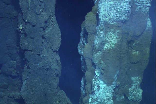 Large chimneys discovered at Fonualei Rift Picture