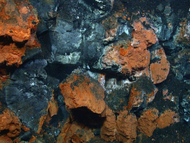 The orangish-brown material is iron oxide encrusted microbial mats, often observed at low-temperature hydrothermal vents. Picture