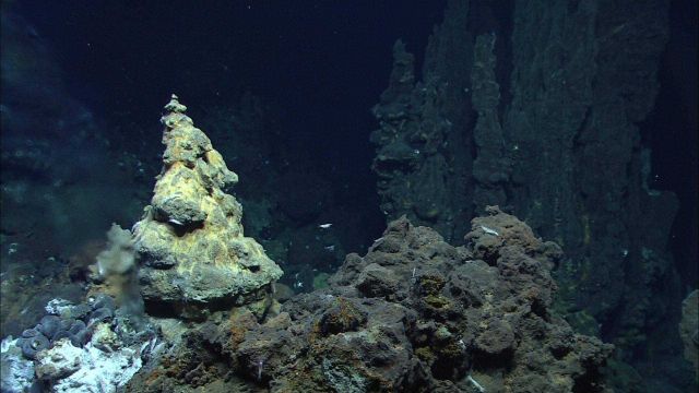 A great diversity of chimneys were seen at Mata Tolu. Picture
