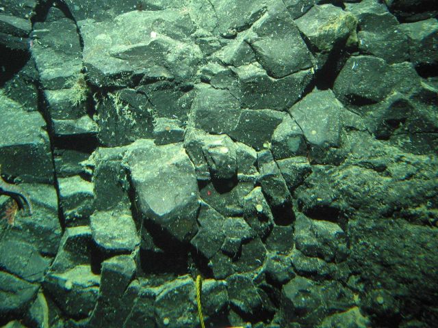 Basalt rock on a Gulf of Alaska seamount. Picture
