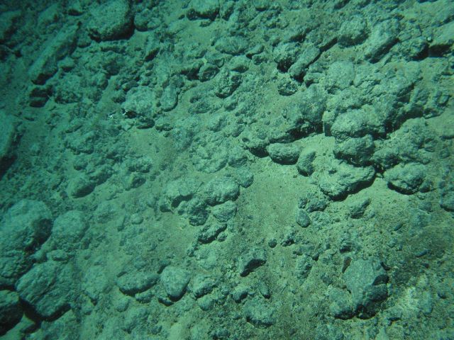Basalt boulders with a few random brittle stars. Picture