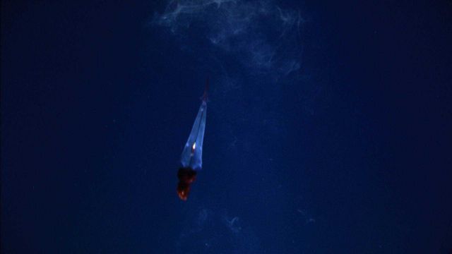 Squid leaving an ink trail. Picture