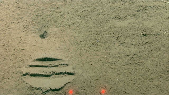 An imprint on the seafloor looks man-made Picture