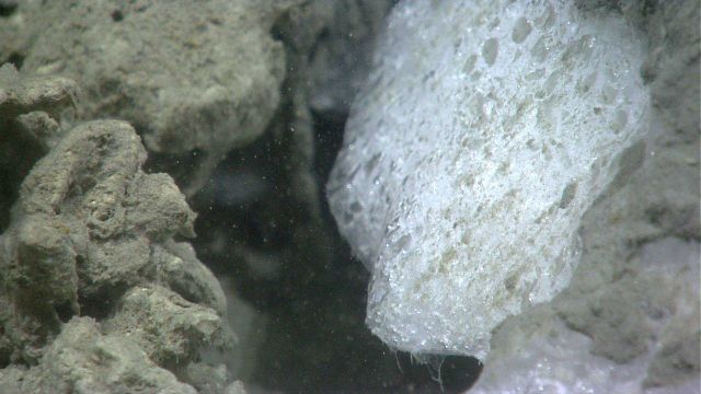 A closeup view of a methane hydrate outcrop at a cold seep site Picture