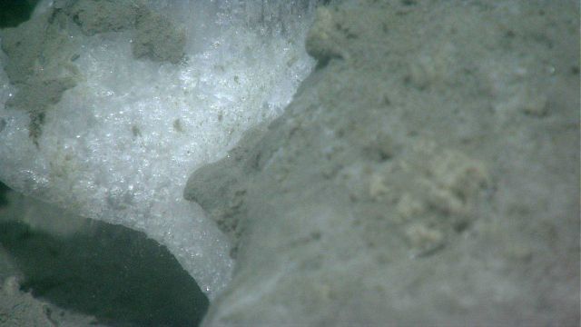 A closeup view of a methane hydrate outcrop at a cold seep site Picture