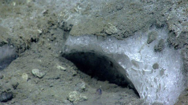 Closeup of methane hydrate observed at a depth of 1,055 meters, near where bubble plumes were detected in previously acquired sonar data Picture
