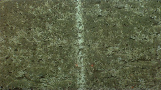 Vertical striation on canyon wall - among the possibilities for the origin of this feature are an embryonic sediment chute and alternatively, a longli Picture