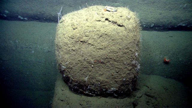 A large block of rock apparently unattached from the main canyon wall. Picture