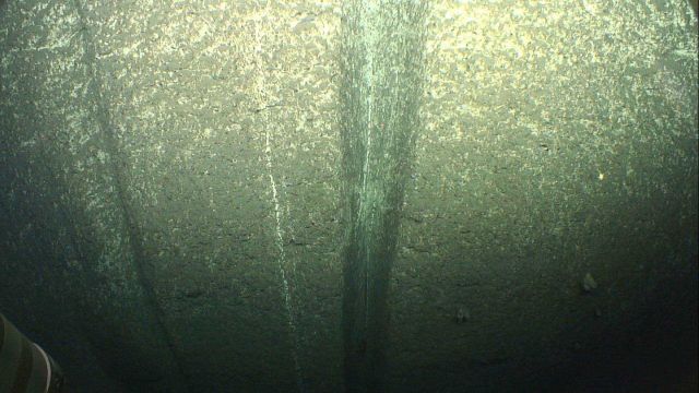 Sediment chutes extending down the canyon wall Picture