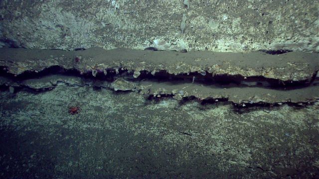 Differential erosion with more resistant beds protruding out from the canyon wall Picture