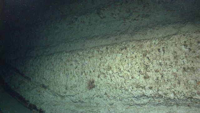 Distinctly different sedimentary layers are seen along the canyon wall Picture