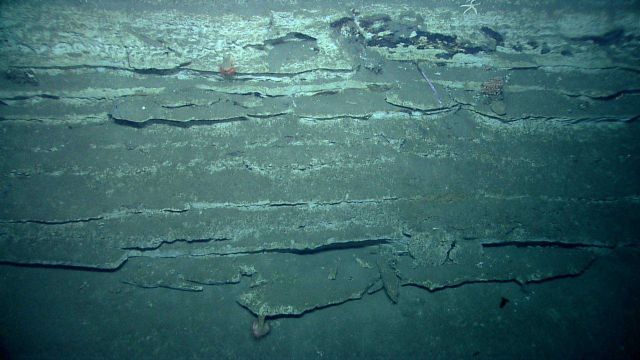 Layers of resistant porcellanite rock interleaved with less resistant chalk that forms the eroded recesses Picture