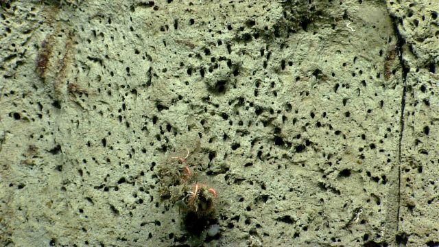 Bio-erosion of canyon walls Picture
