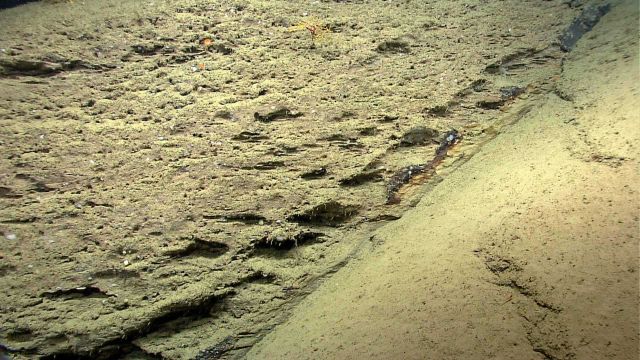 Another example of en echelon fracturing Picture