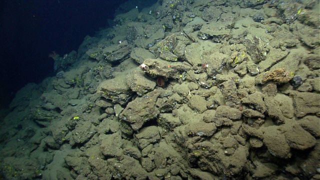 Boulders in an area of landslide debris Picture