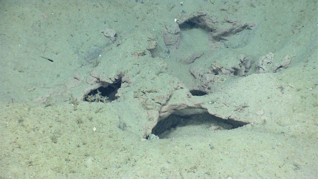 Sediment covered mudstone? with many large holes and collapse features between holes.A small natural stone arch is seen Picture