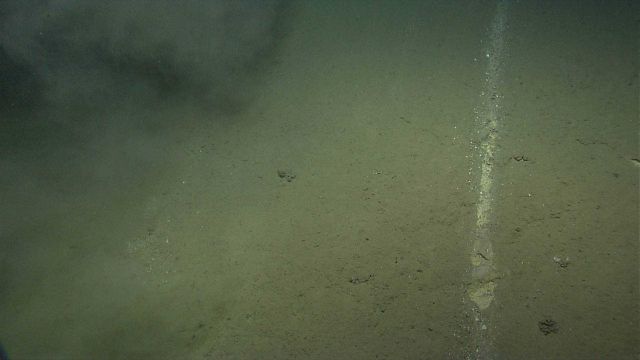 Sediment chute with pebbles that seem to have swept away thin veneer of sediment and left underlying rock exposed. Picture