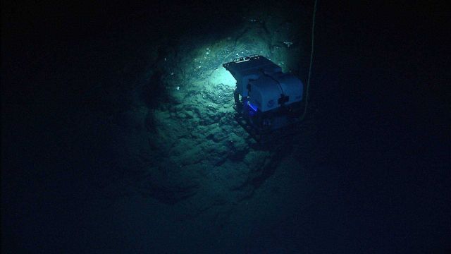 Deep Discoverer ROV as seen from Seirios while working along a vertical wall. Picture