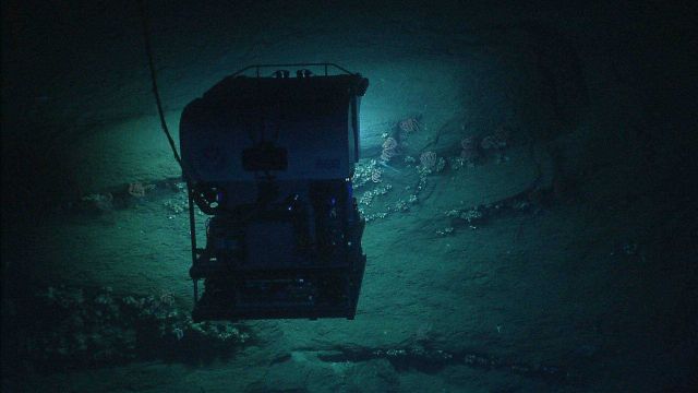 Deep Discoverer ROV as seen from Seirios while working along a vertical wall. Picture