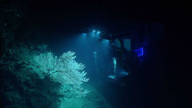 Deep Discoverer ROV as seen from Seirios. Picture