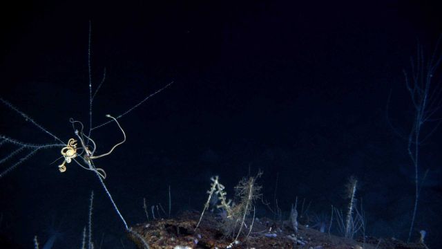 A strange darkened landscape. Picture