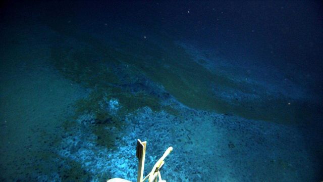 The ROV is following an area of discolored sediment to ultimately a large brine pool. Picture