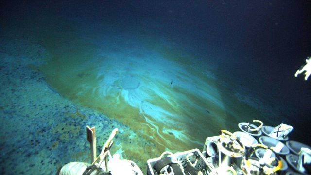 These craters mark the formation of brine pools, from which salt has seeped through the seafloor and encrusted the nearby substrate. Picture
