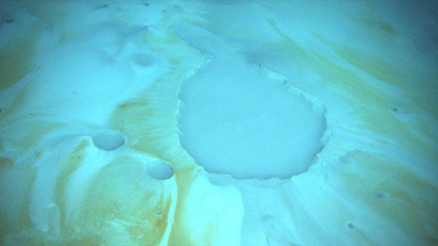 These craters mark the formation of brine pools, from which salt has seeped through the seafloor and encrusted the nearby substrate. Picture